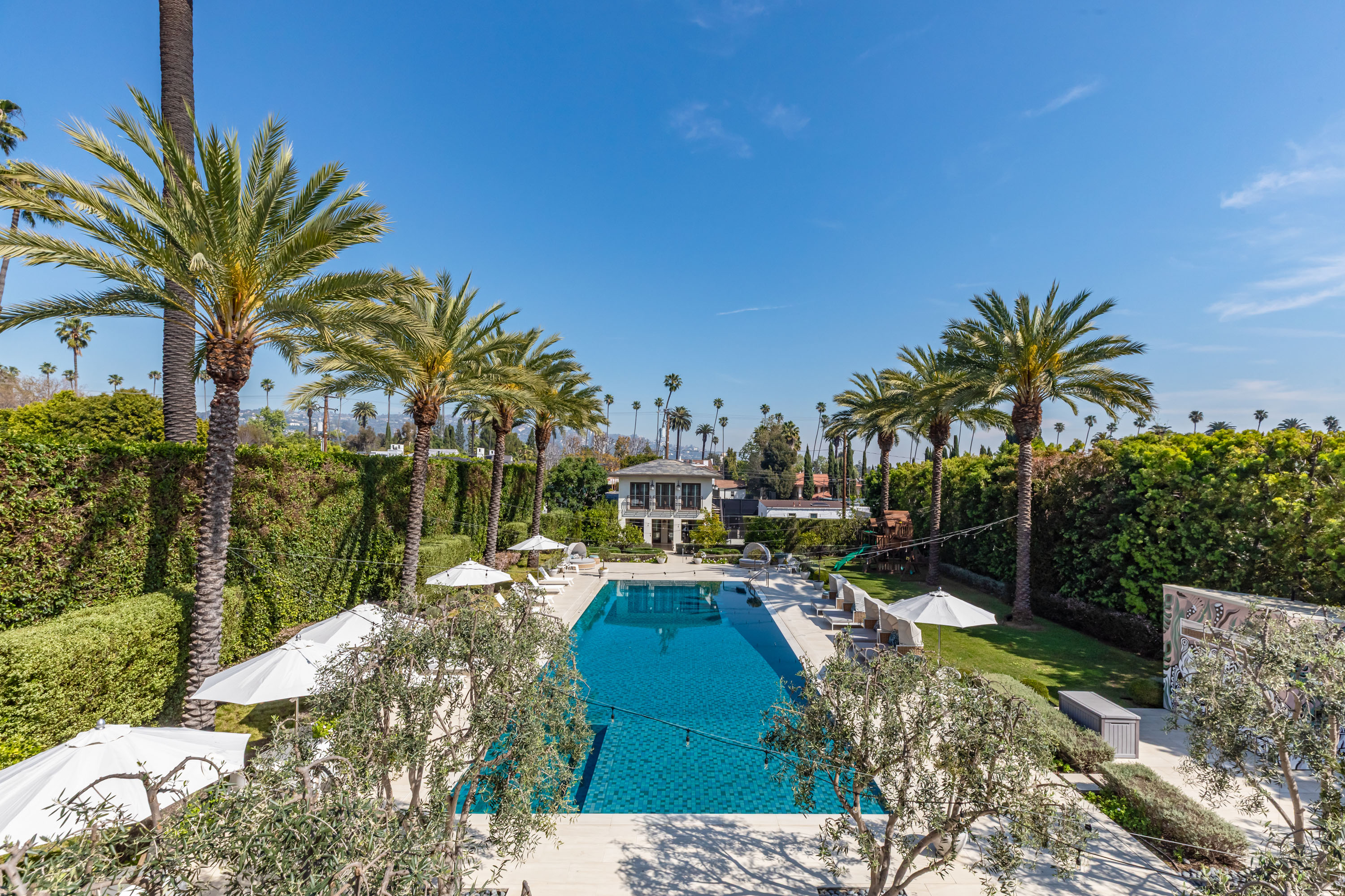 Pool and palm gardens